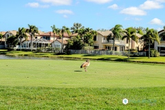 Honda Classic - Palm Beach Gardens