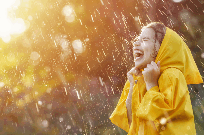 palm beach wired - rain days