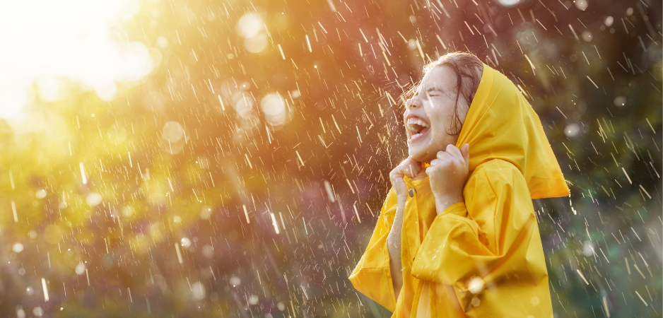 palm beach wired - rain days