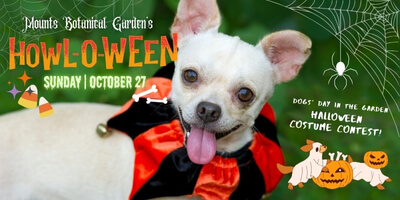 HOWL-O-WEEN Dogs’ Day in the Garden – West Palm Beach